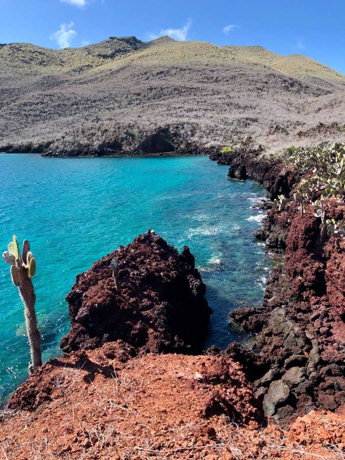 rocky beach with cactus in Galapagos, Ecuador